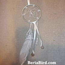 white winter dream catcher